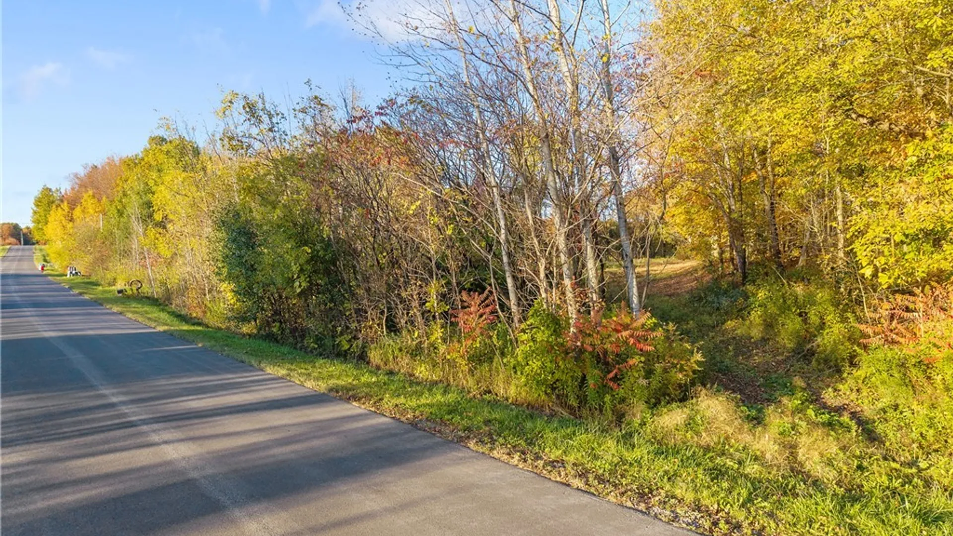 Property at 252 Paddy Lake Road, Scriba, NY 13126 8