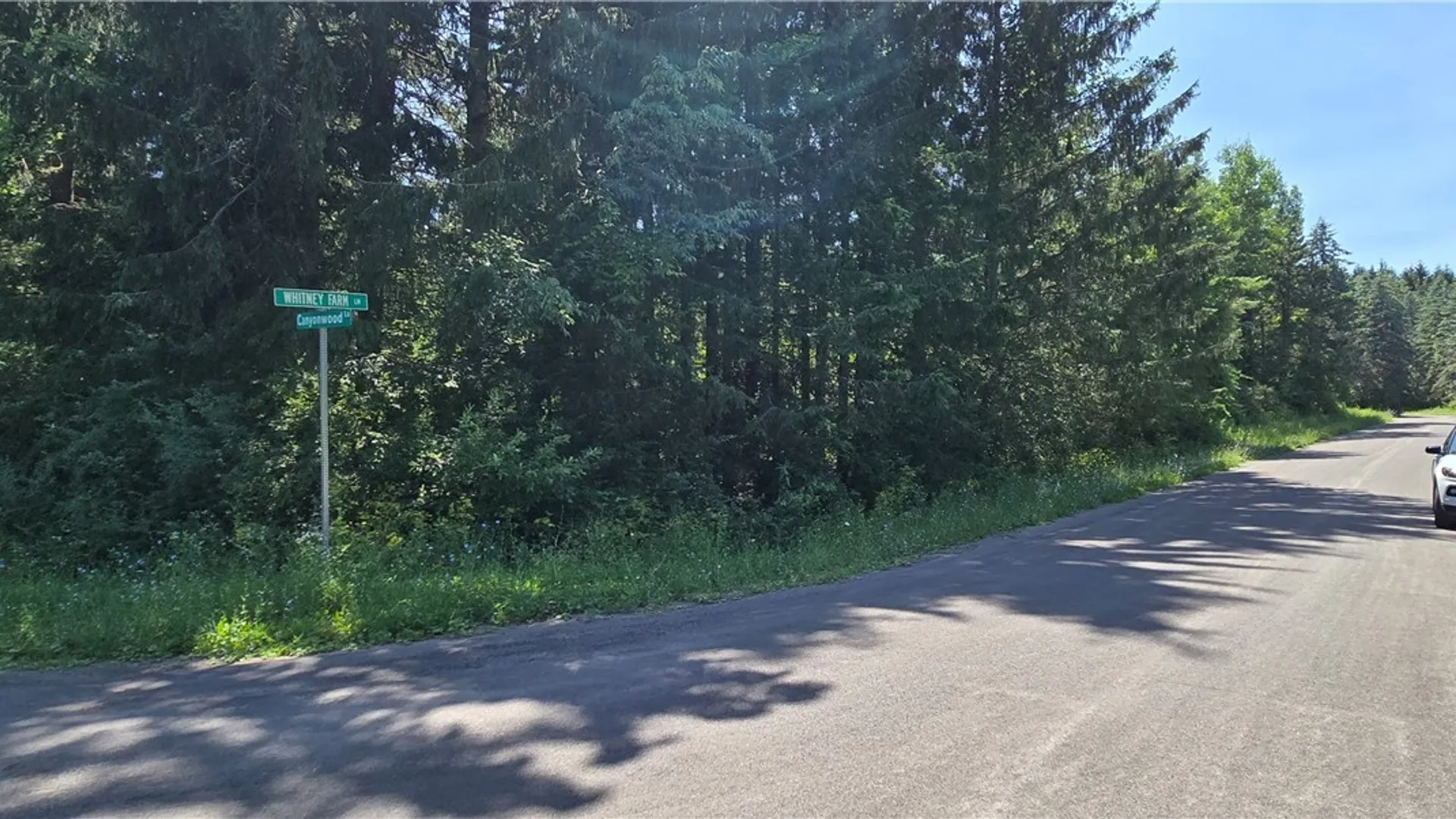 Property at 7040 Whitney Farm Lane, Pompey, NY 13078 4