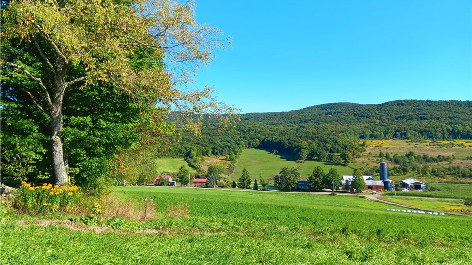 Property at 503 Harpersfield Road, Jefferson, NY 12093 15