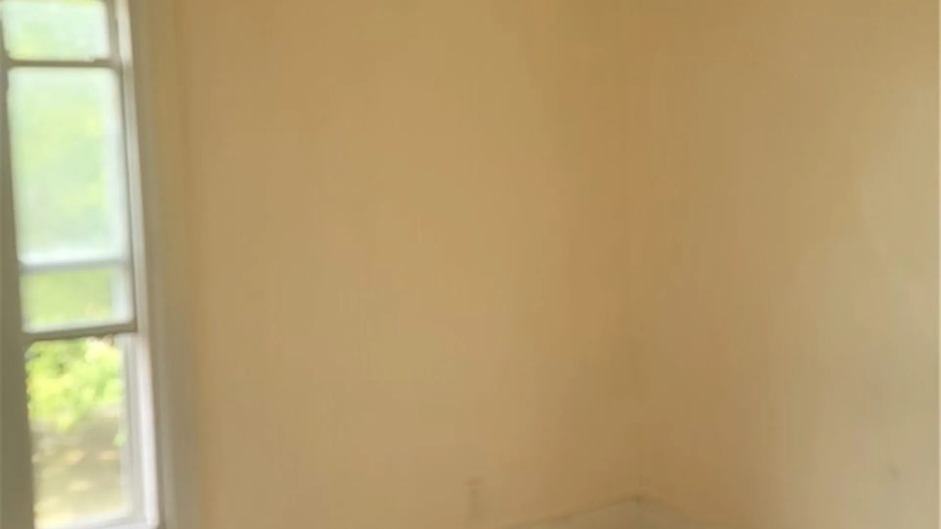 Property at 528 Ferry Avenue, Niagara Falls, NY 14301 35