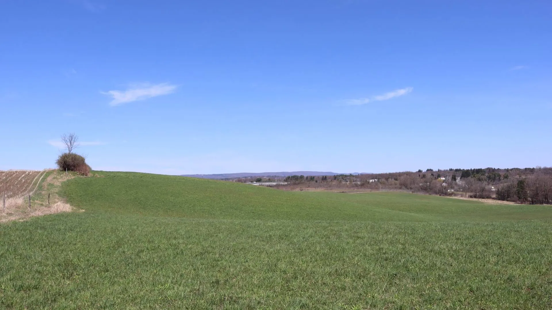 Property at 0 Opportunity Drive, Mohawk, NY 12095 14