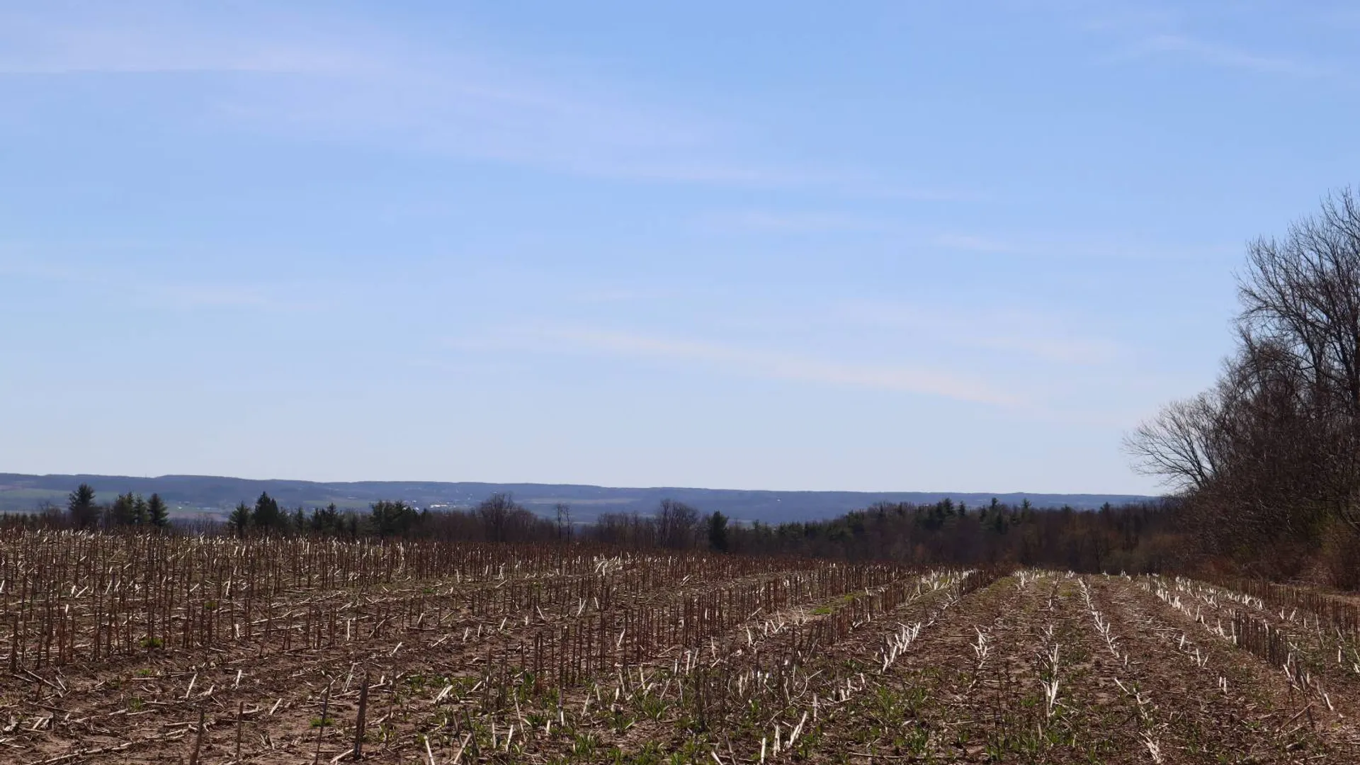 Property at 0 Opportunity Drive, Mohawk, NY 12095 18