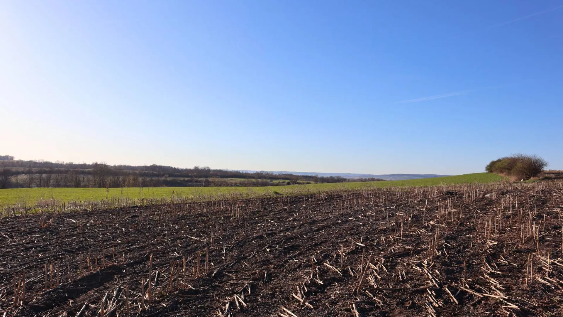 Property at 0 Opportunity Drive, Mohawk, NY 12095 6