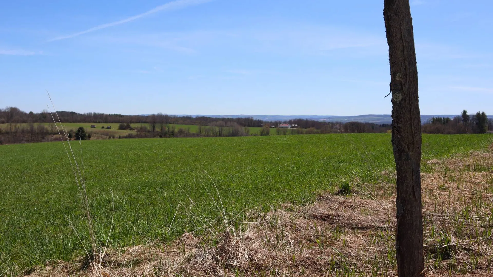 Property at 0 Opportunity Drive, Mohawk, NY 12095 7