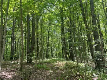 Property at Pleasant Valley Road, Yorkshire, NY 14042