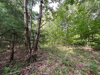 Property at 0 Held #11 Greenbush Road, Erin, NY 14838