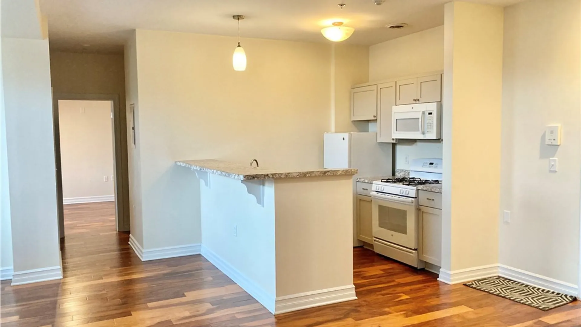 Property at 481 Franklin Street, Buffalo, NY 14202 4