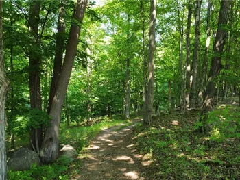 Property at Centenary Road, Sodus, NY 14551