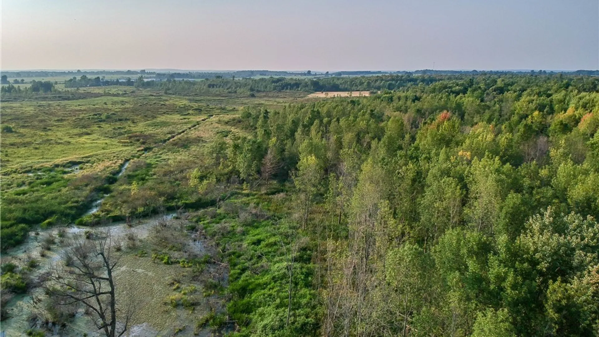 Property at 0 Black Creek Road, Clayton, NY 13624 10