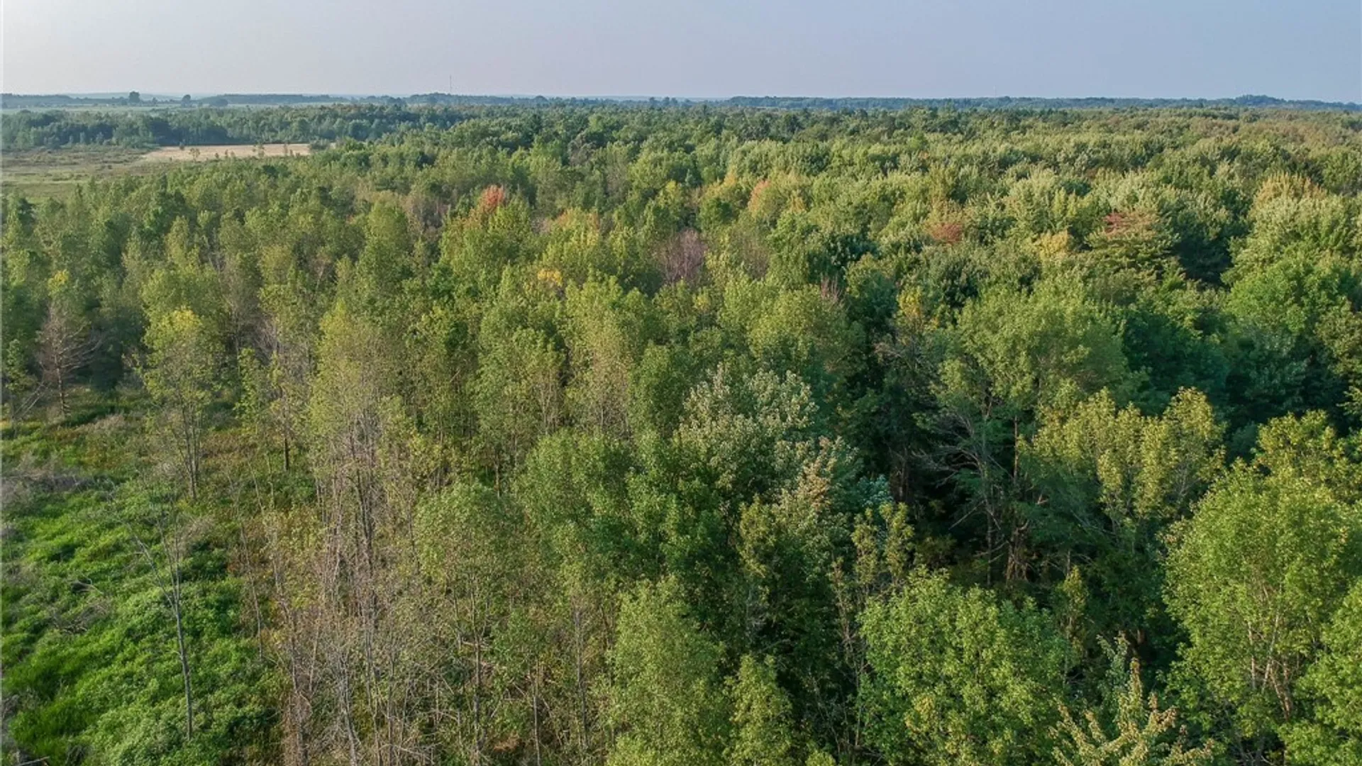 Property at 0 Black Creek Road, Clayton, NY 13624 11