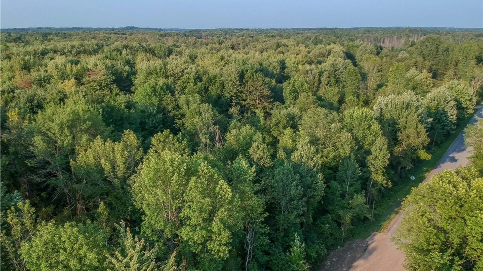 Property at 0 Black Creek Road, Clayton, NY 13624 12