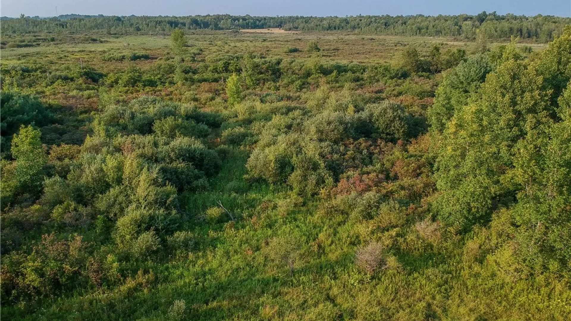 Property at 0 Black Creek Road, Clayton, NY 13624 14