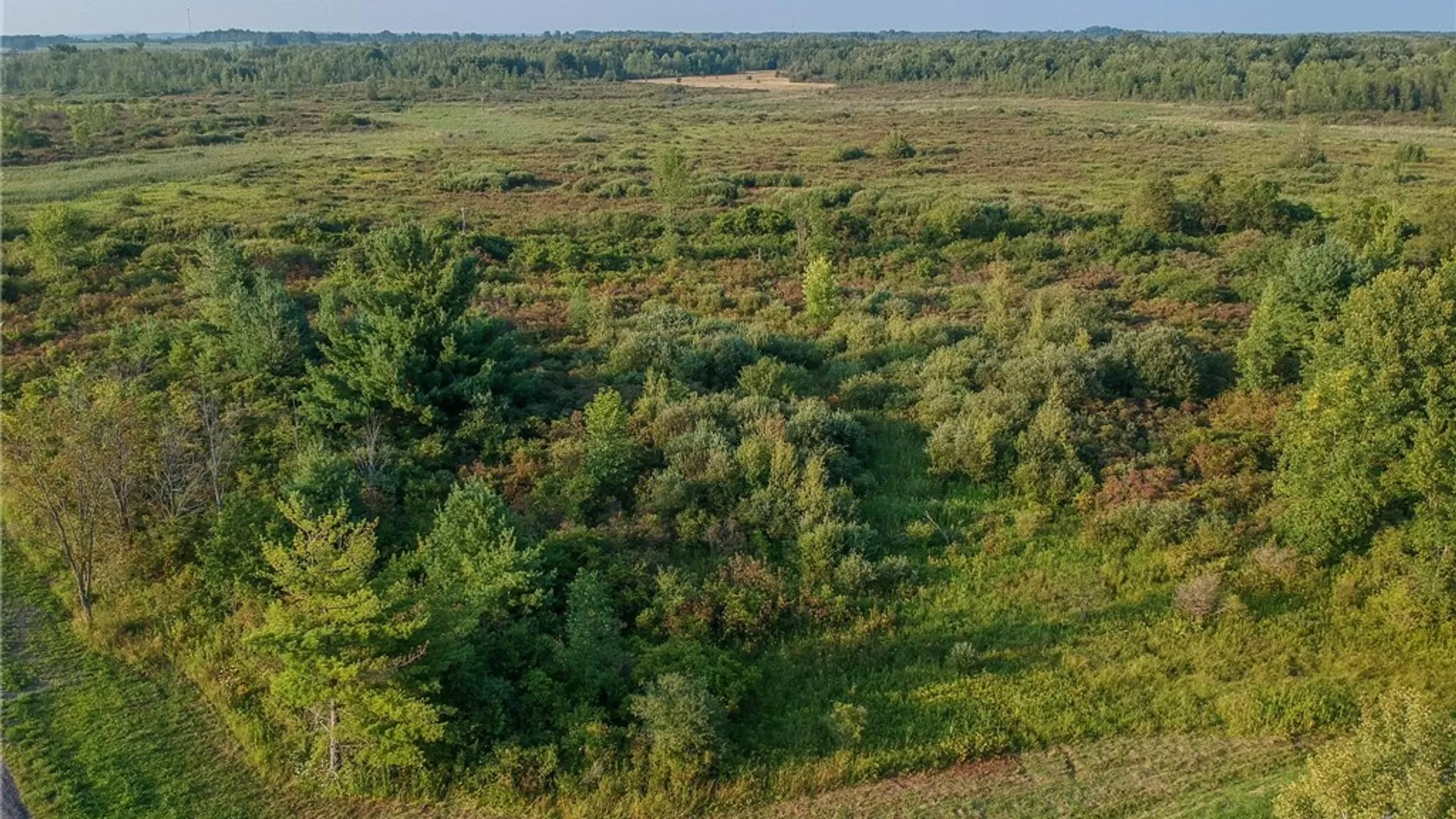 Property at 0 Black Creek Road, Clayton, NY 13624 15