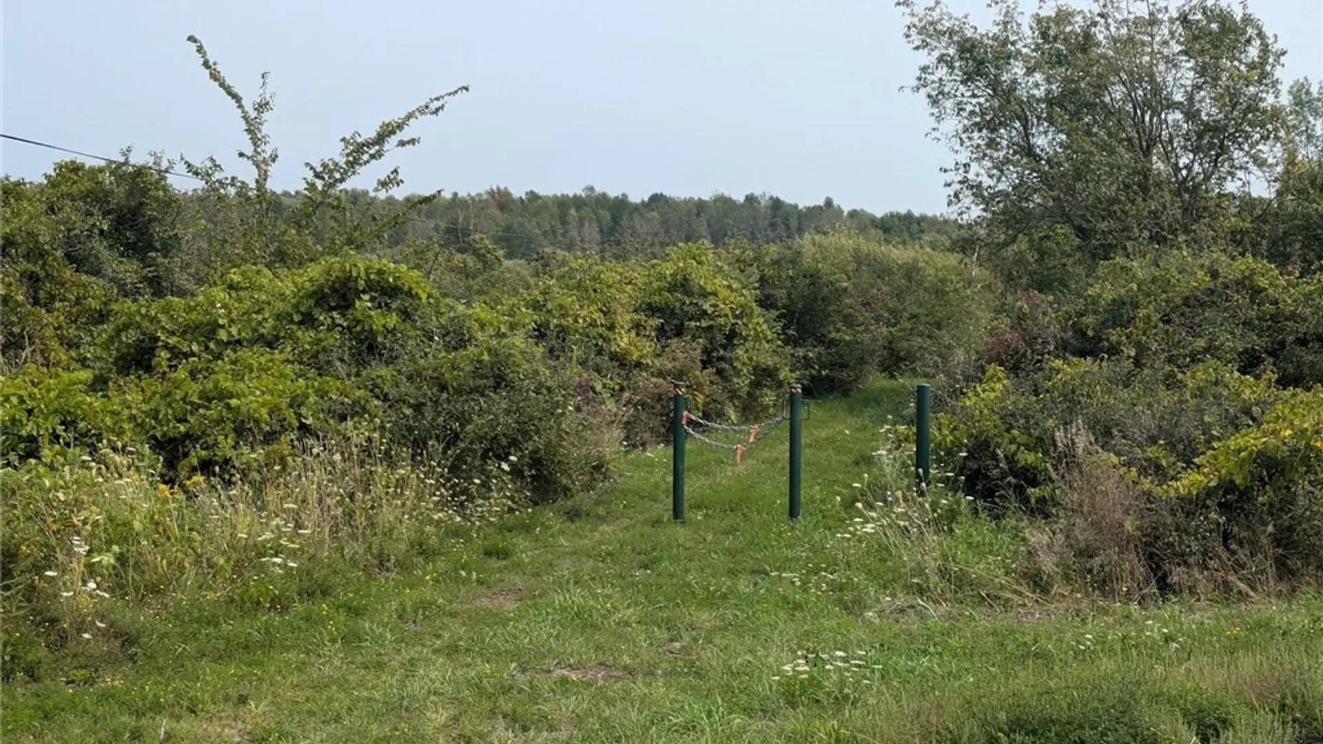 Property at 0 Black Creek Road, Clayton, NY 13624 21