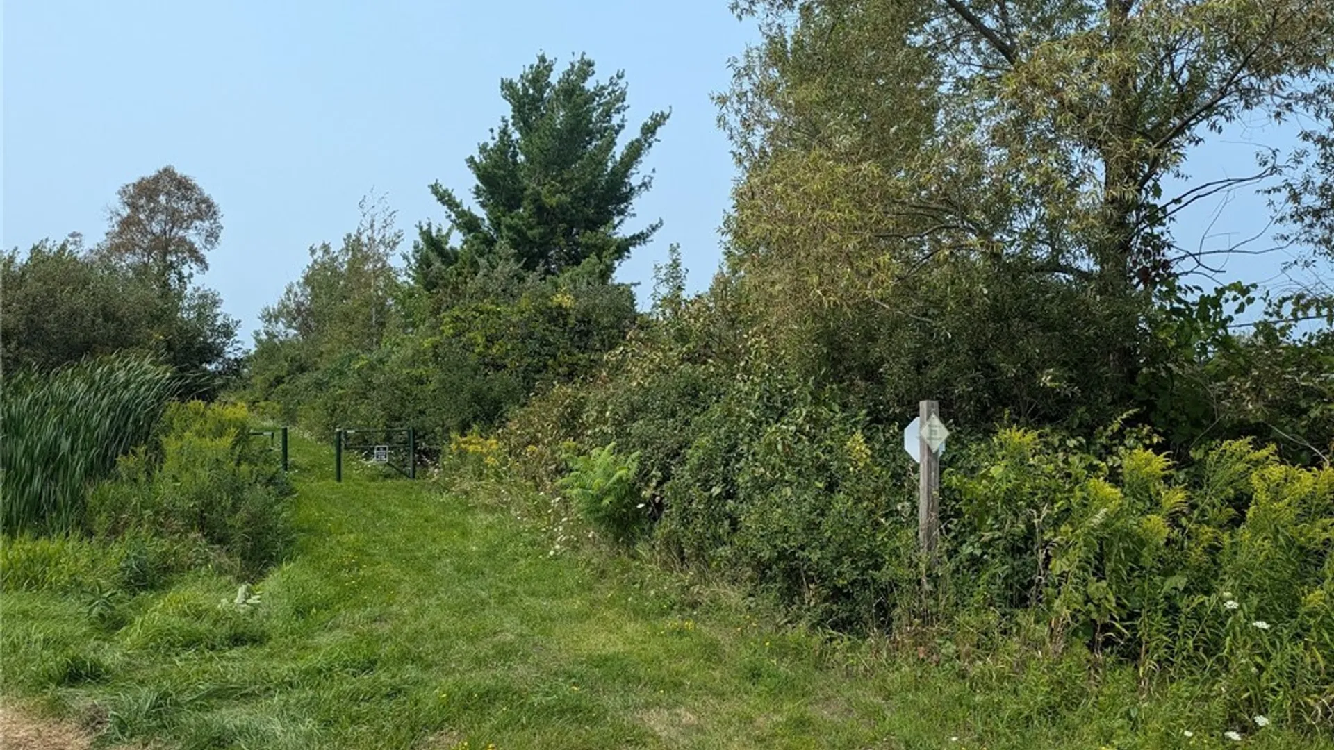 Property at 0 Black Creek Road, Clayton, NY 13624 23