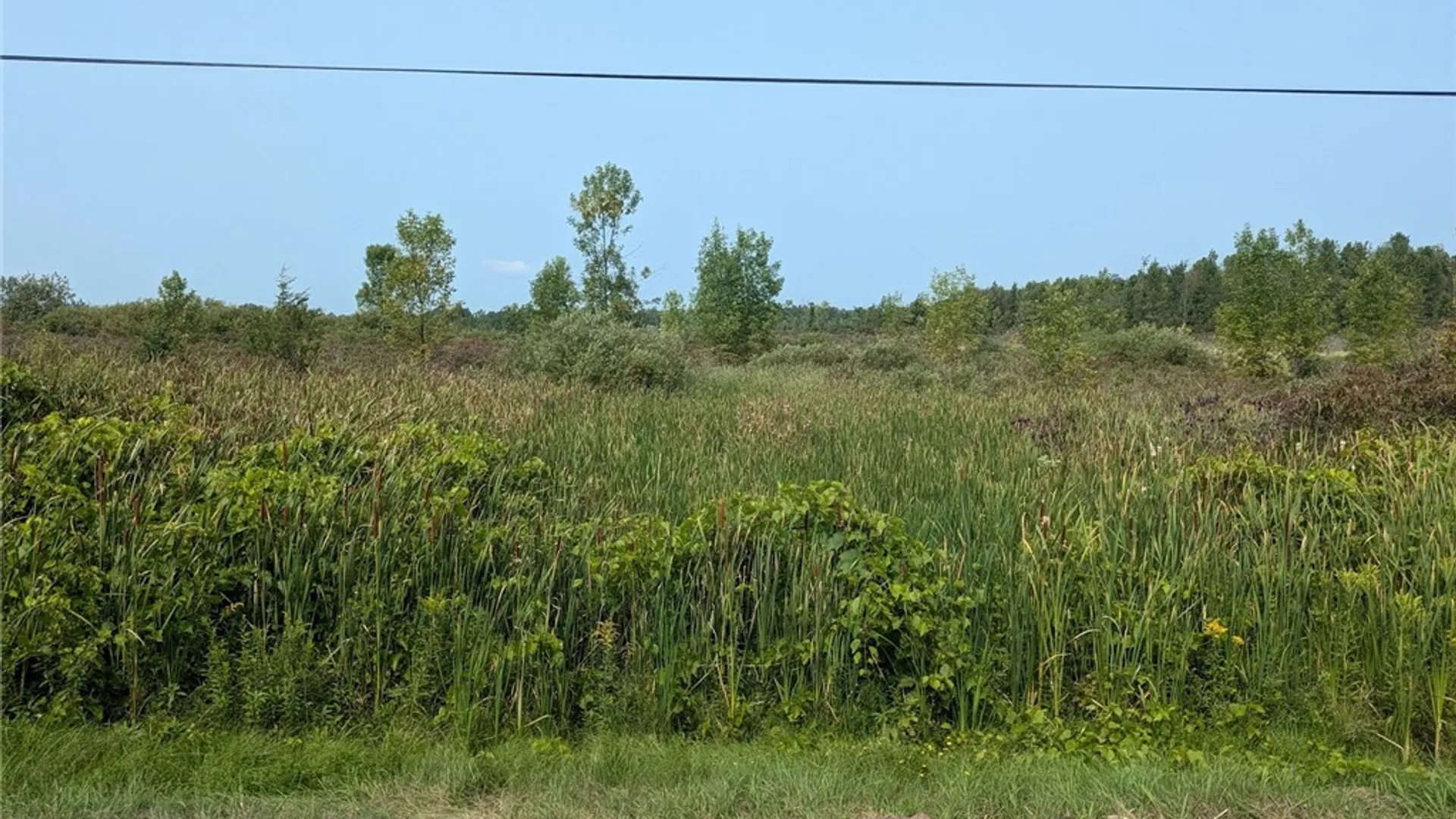 Property at 0 Black Creek Road, Clayton, NY 13624 24