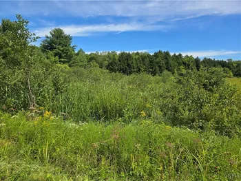Hayes Road, Florence, NY 13316