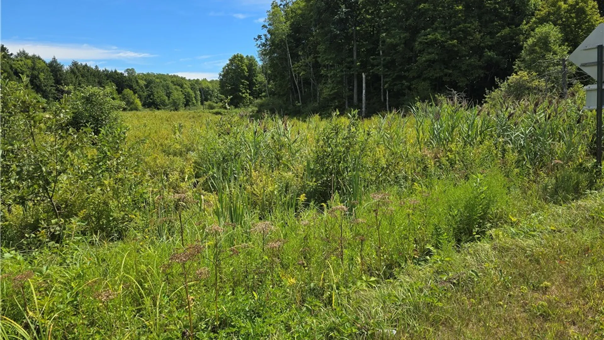 Property at Hayes Road, Florence, NY 13316 2