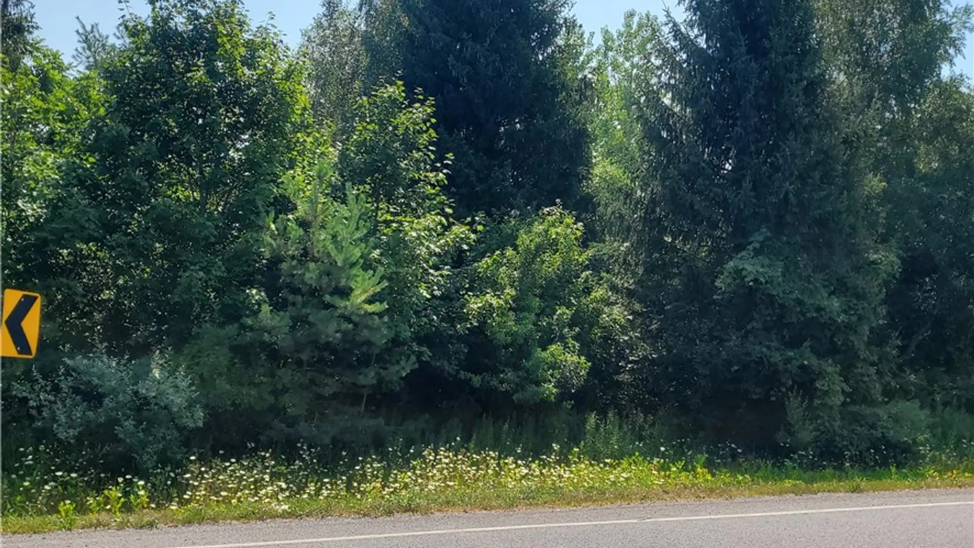 Property at 6462 Furnace (3 lots) Road, Ontario, NY 14519 2