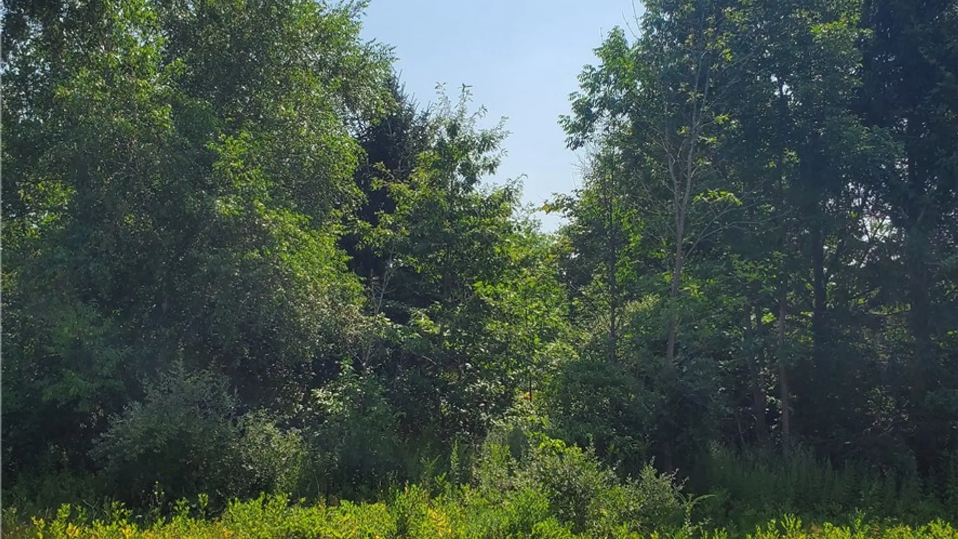 Property at 6462 Furnace (3 lots) Road, Ontario, NY 14519 3