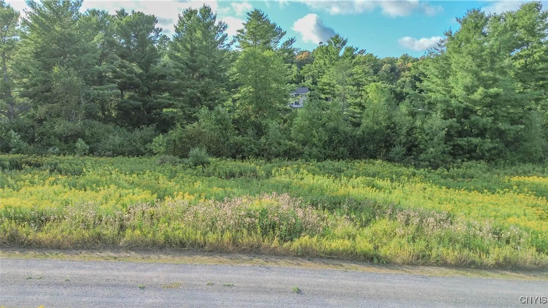 Property at Beaver Meadow, Lyme, NY 13622 3