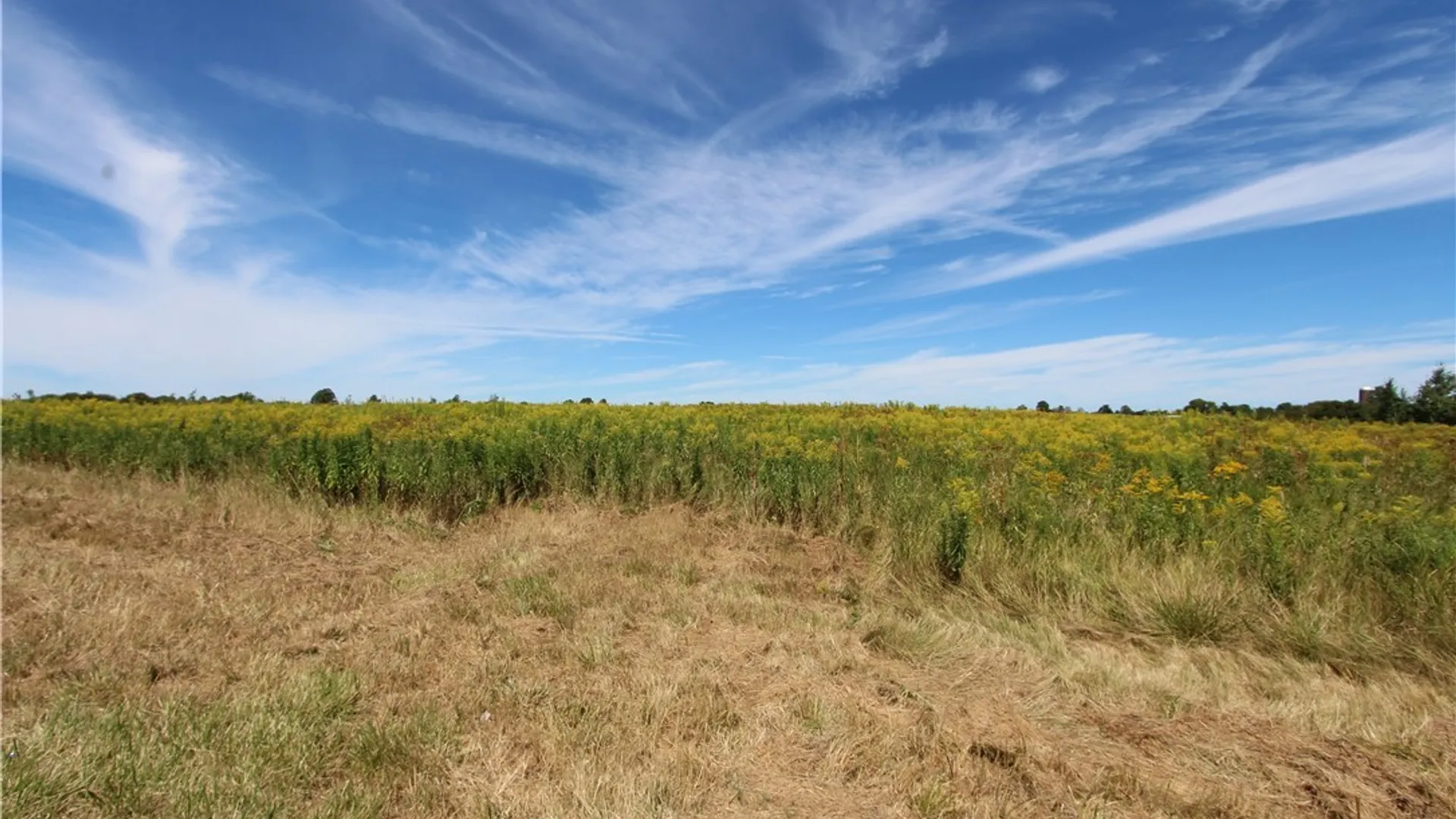 Property at 25049 Rt-342, Pamelia, NY 13637 3