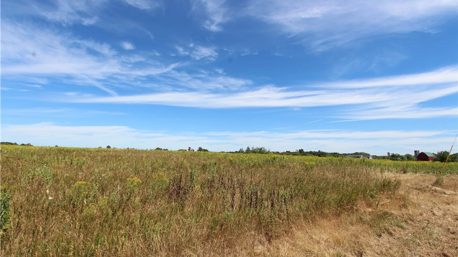 Property at 25049 Rt-342, Pamelia, NY 13637 4