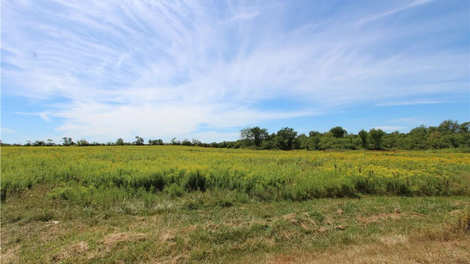 Property at 00 Rt-342, Pamelia, NY 13637 4