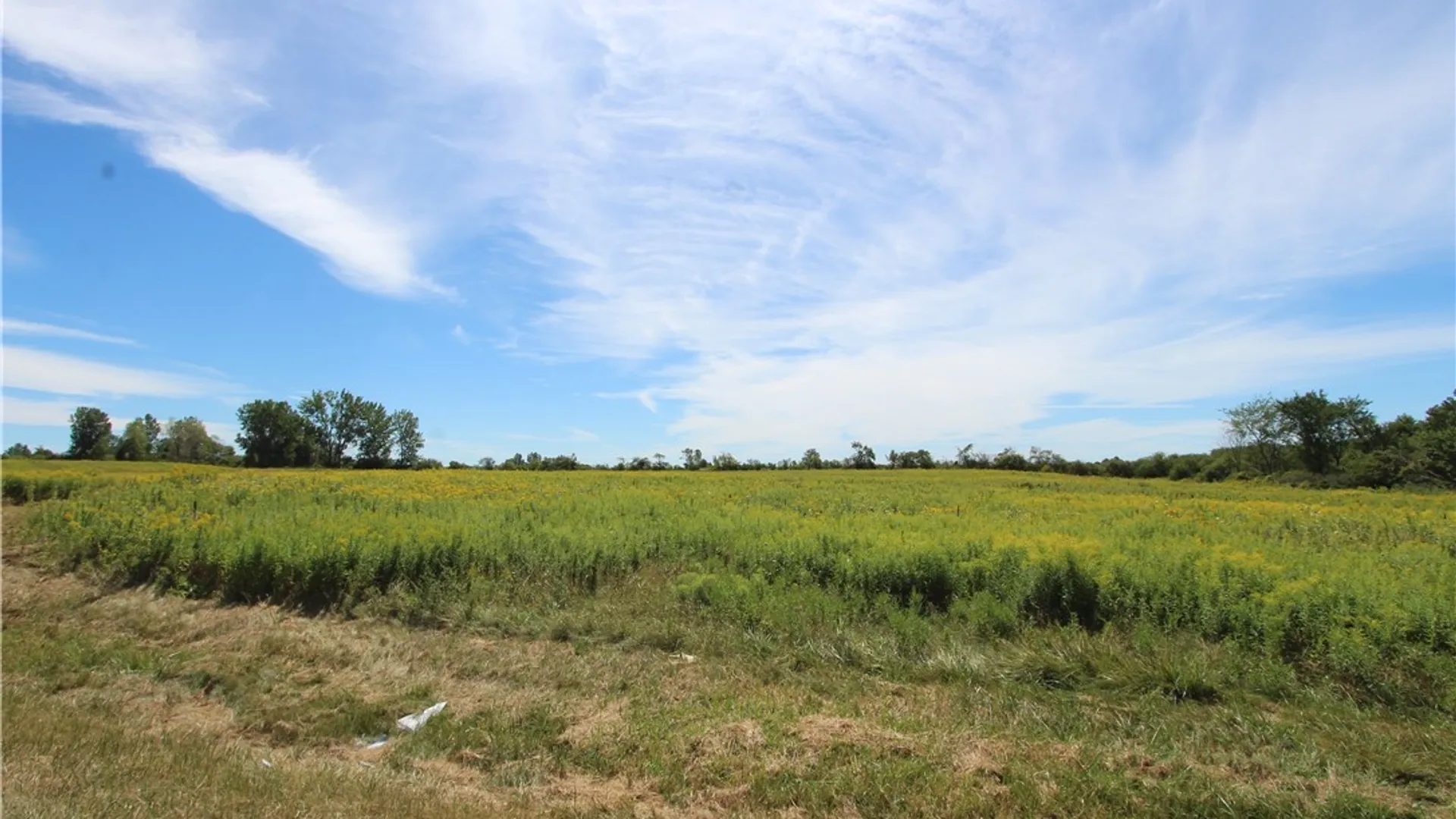 Property at 00 Rt-342, Pamelia, NY 13637 5