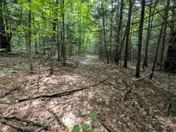 Property at Buck Hollow Road, Hornby, NY 14812