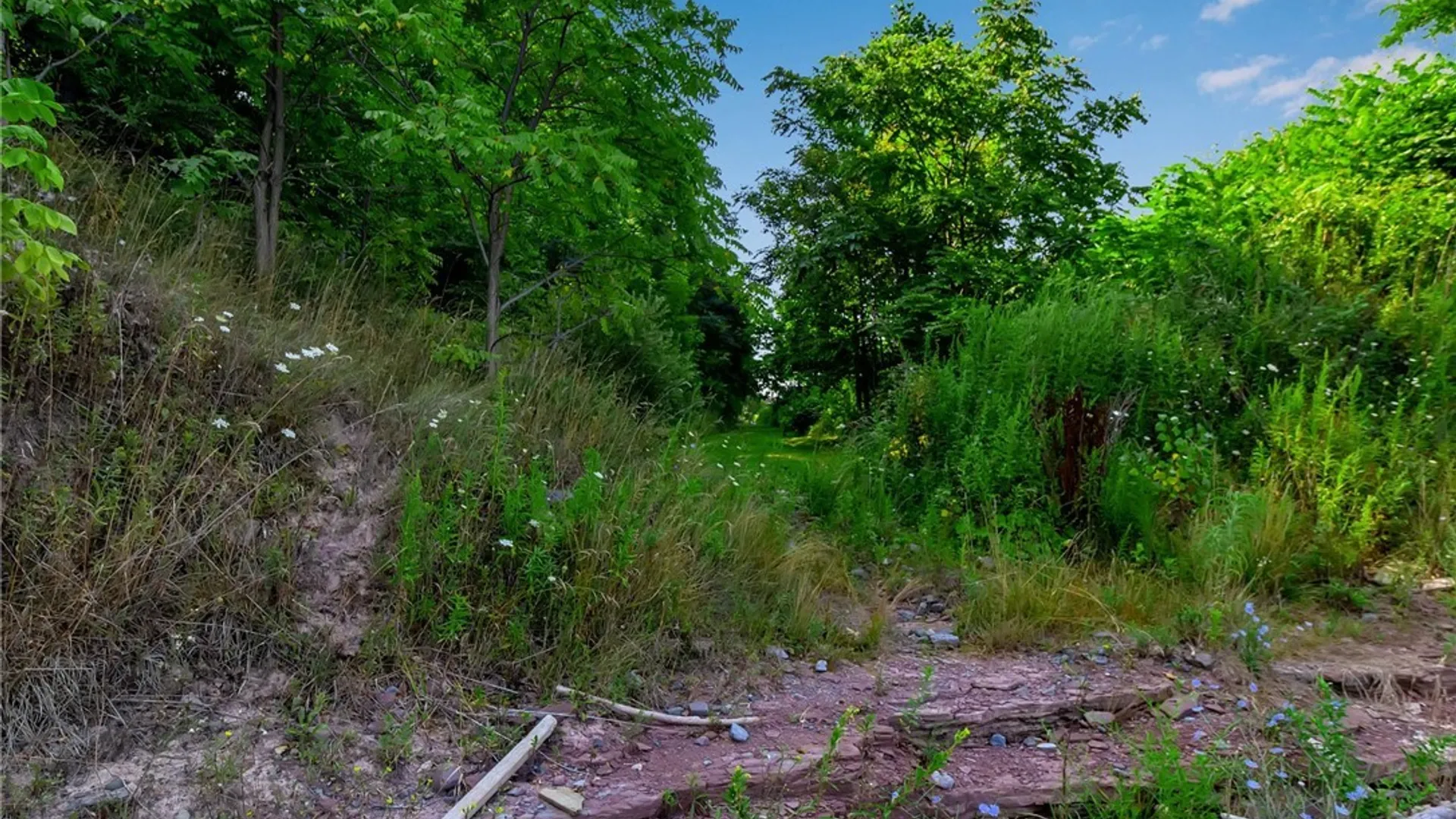 Property at 6623 North Road, Newfane, NY 14108 12