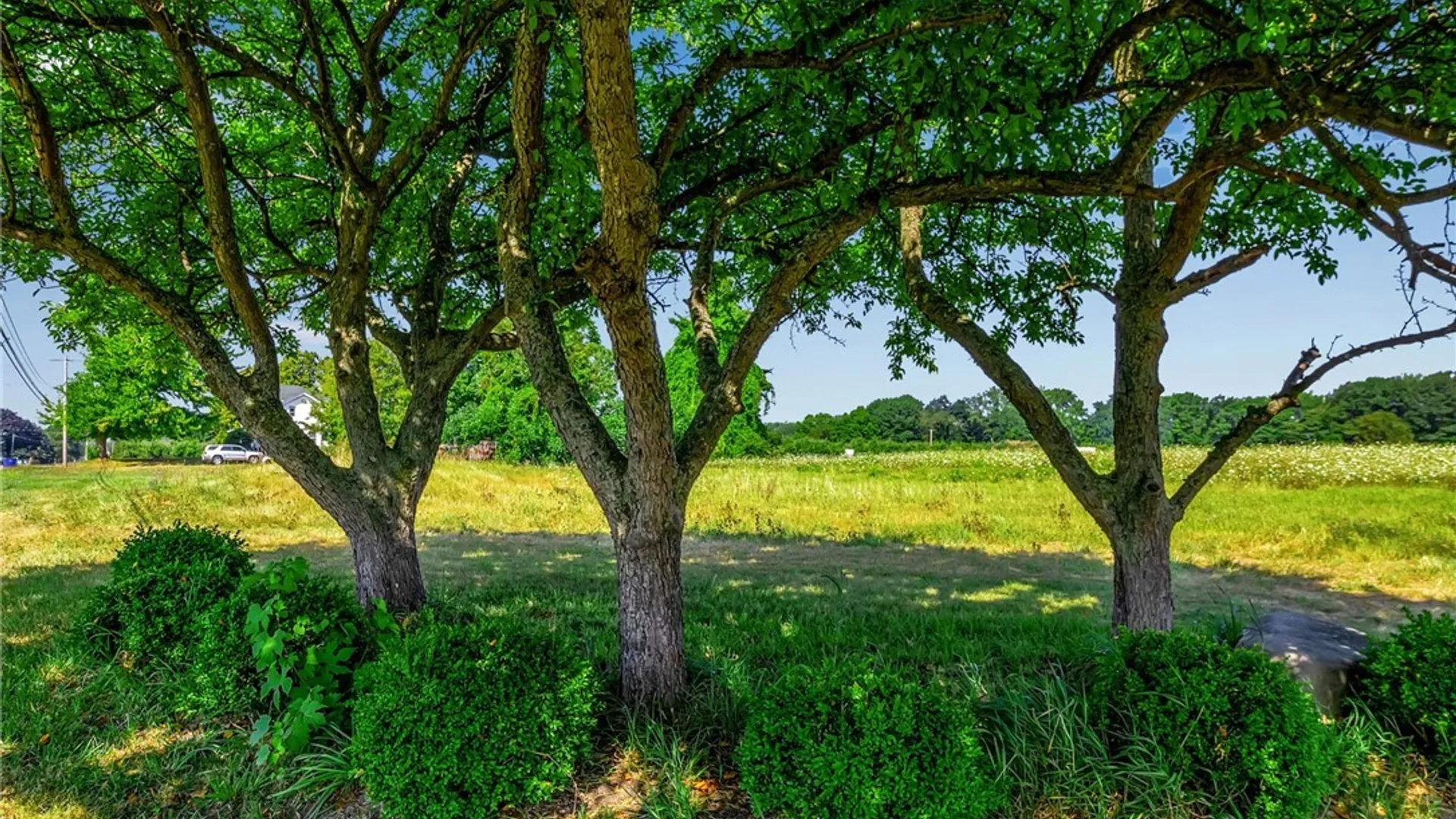 Property at 6623 North Road, Newfane, NY 14108 18