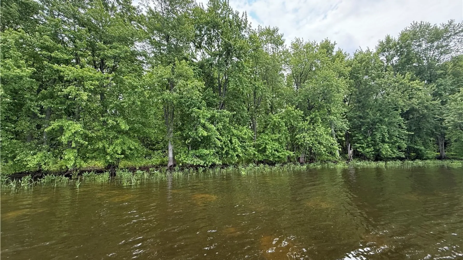 Property at 0 West Rd/Black, Oswegatchie, NY 13633 10