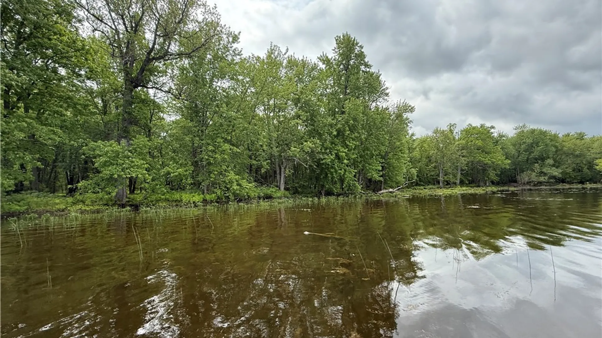 Property at 0 West Rd/Black, Oswegatchie, NY 13633 14