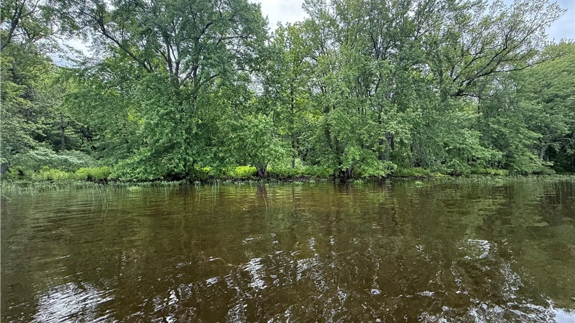 Property at 0 West Rd/Black, Oswegatchie, NY 13633 3