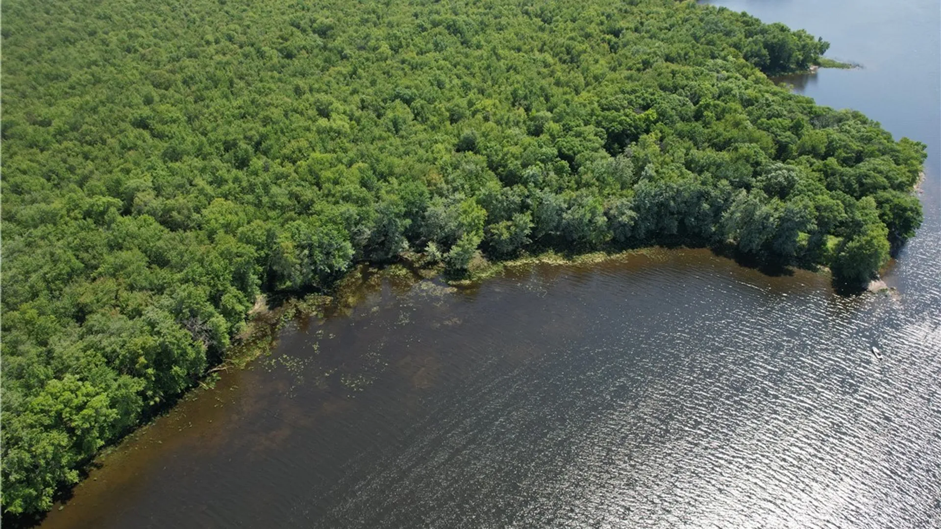 Property at 0 West Rd/Black, Oswegatchie, NY 13633 7