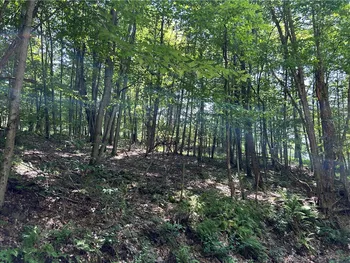 Property at Old Gladstone Hollow, Andes, NY 13731