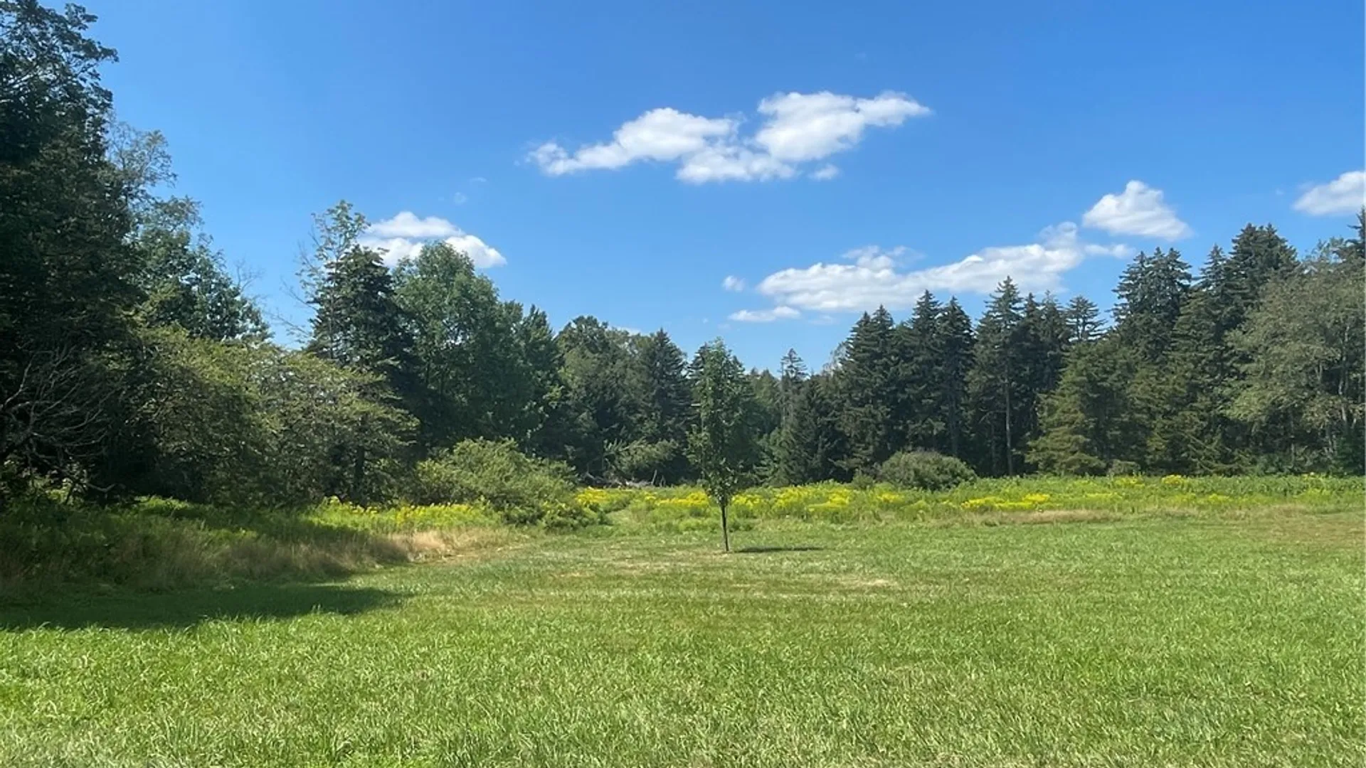 Property at 183 Westkill Road, Jefferson, NY 12093 29