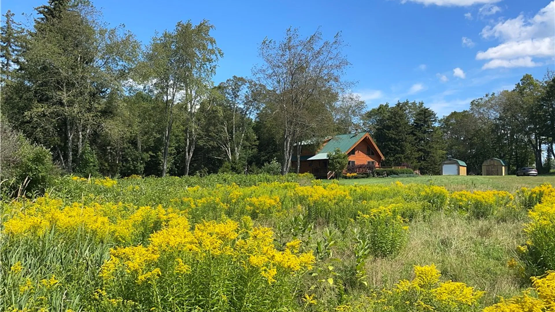 Property at 183 Westkill Road, Jefferson, NY 12093 3