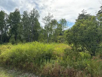 Property at Sheff Road, New Berlin, NY 13843