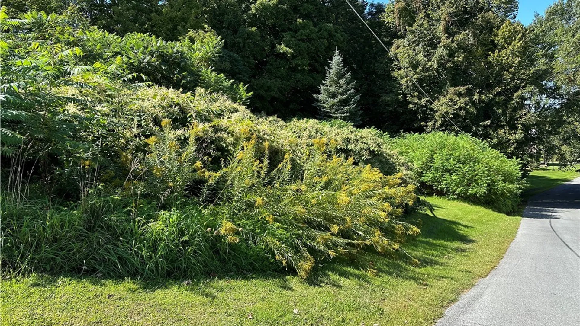 Property at 214 Commercial Street, Theresa, NY 13691 10