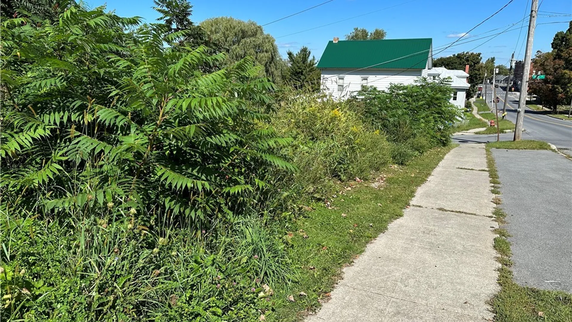 Property at 214 Commercial Street, Theresa, NY 13691 11