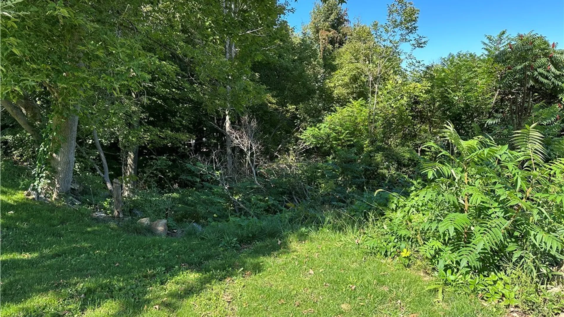 Property at 214 Commercial Street, Theresa, NY 13691 12