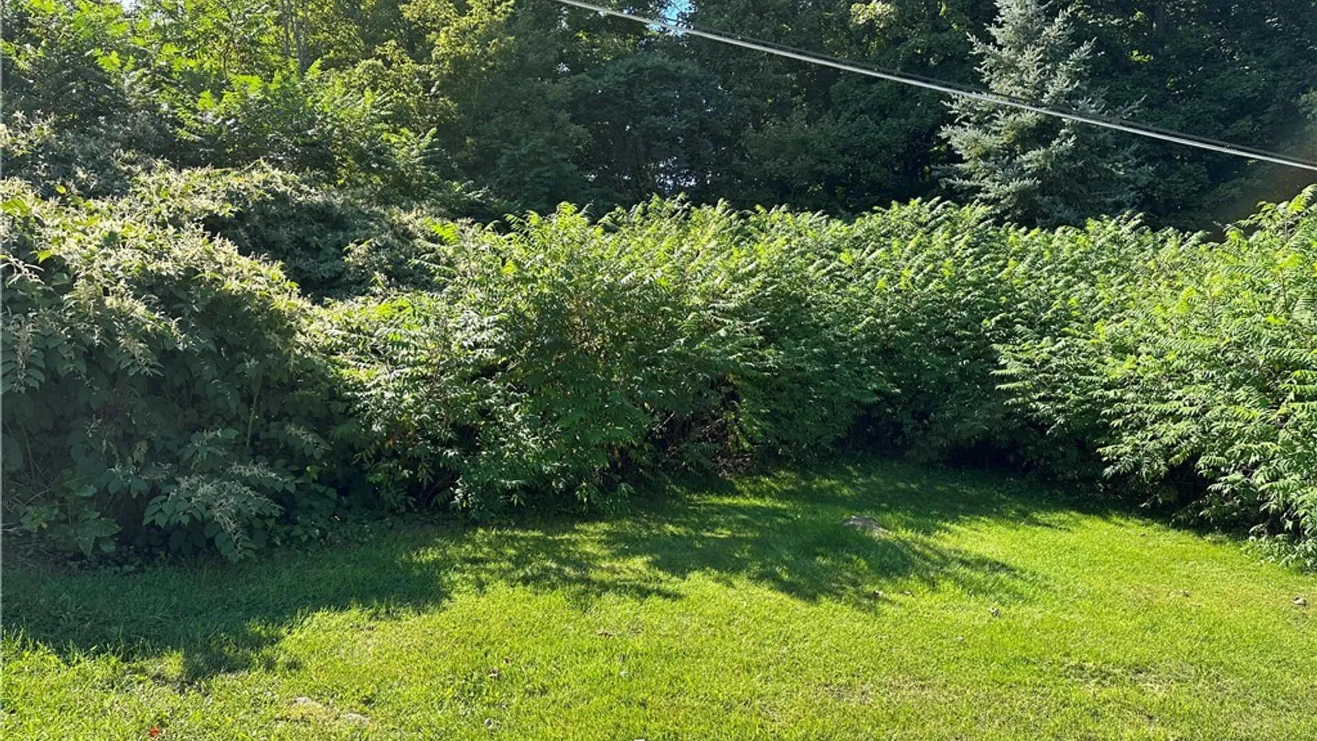 Property at 214 Commercial Street, Theresa, NY 13691 9