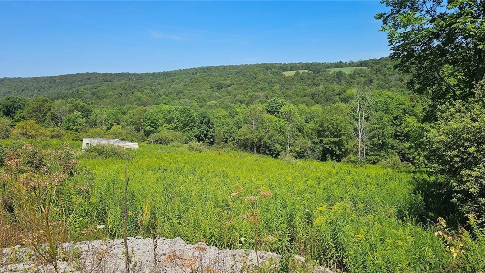 Property at 3616 Cheningo Solon Pond Road, Cincinnatus, NY 13040 11