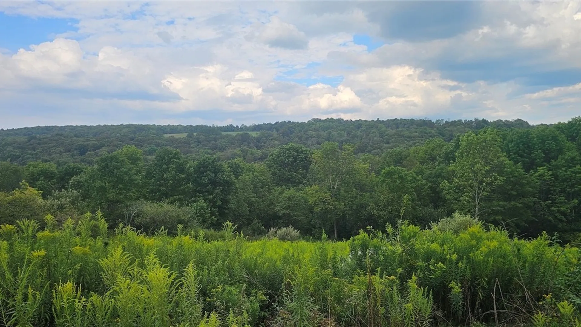 Property at 3616 Cheningo Solon Pond Road, Cincinnatus, NY 13040 6