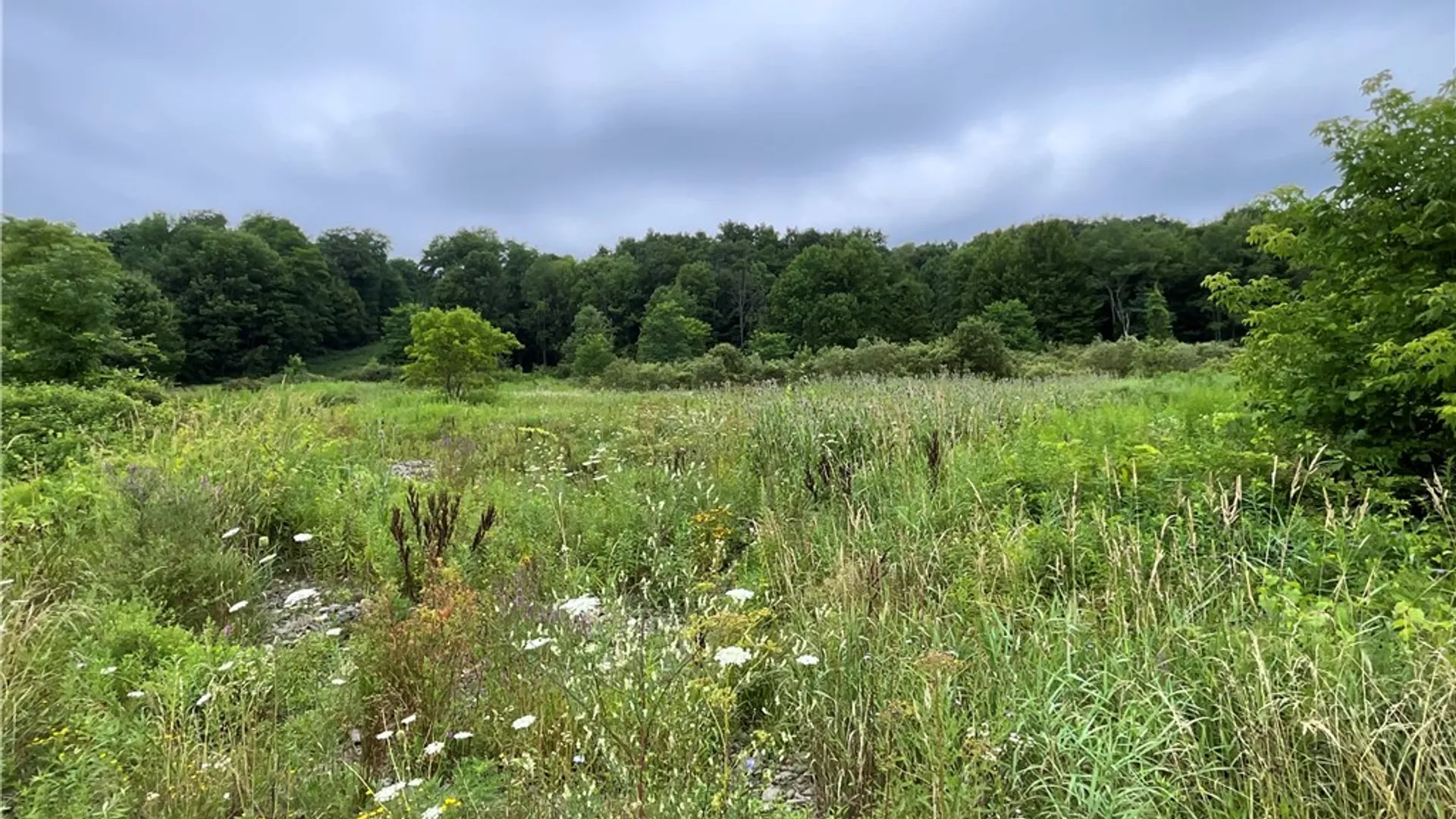 Property at 5277 State Highway 12, Norwich, NY 13815 2