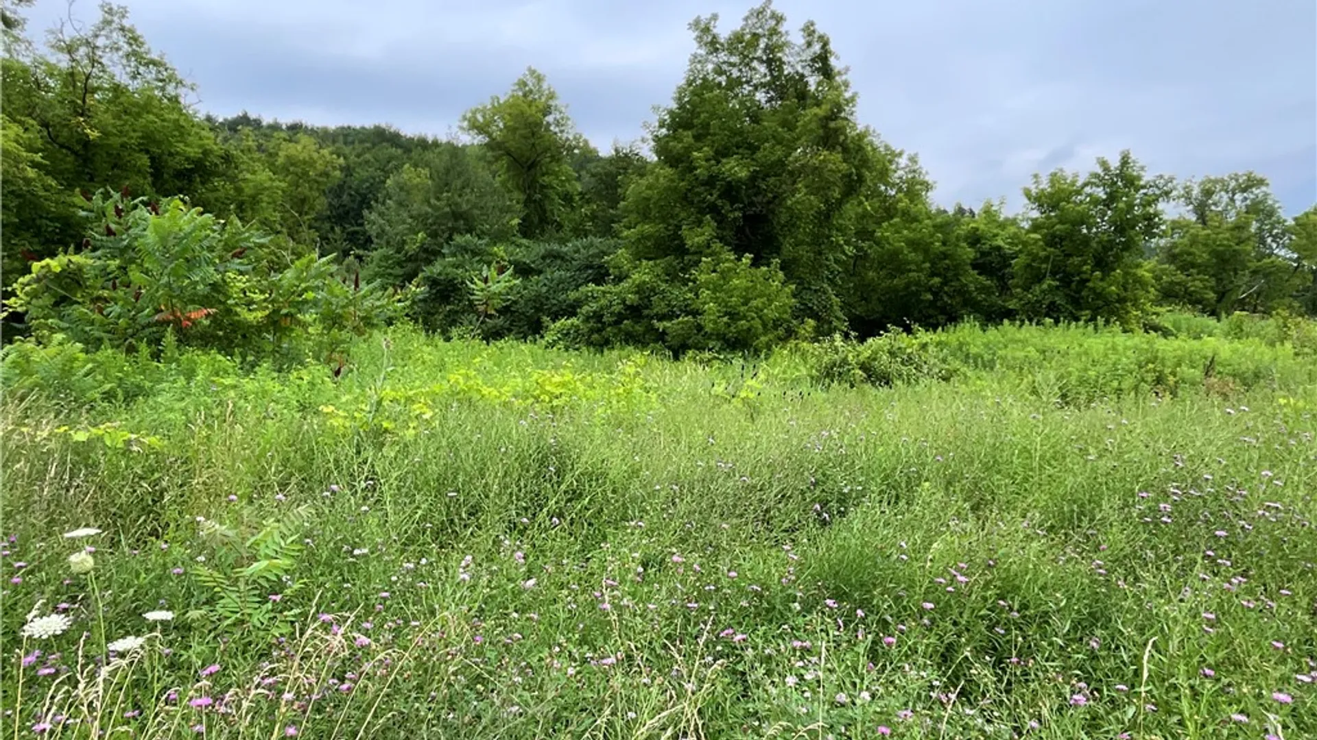 Property at 5277 State Highway 12, Norwich, NY 13815 3