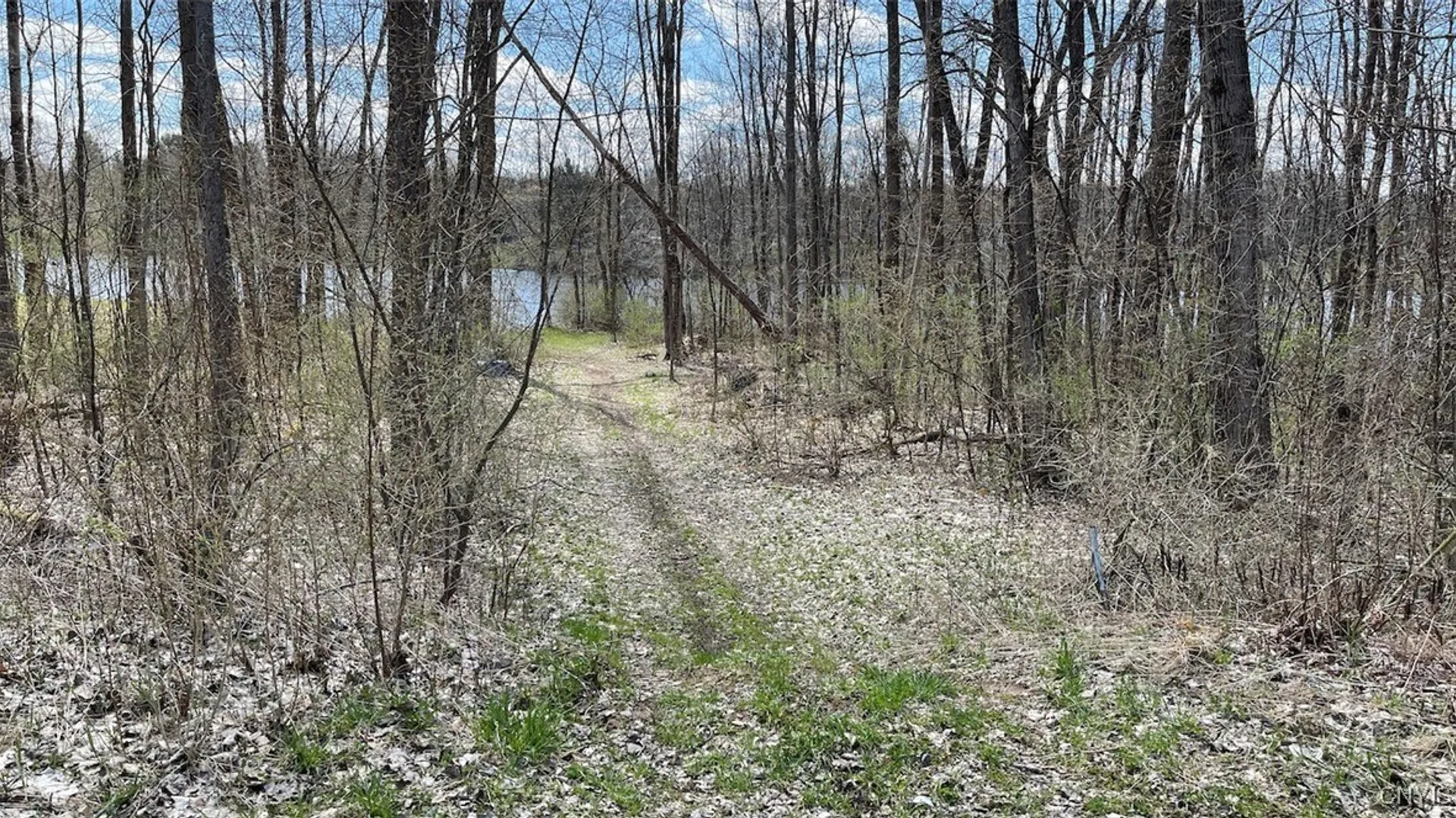 Property at 97 Oswego River Road, Schroeppel, NY 13135 12