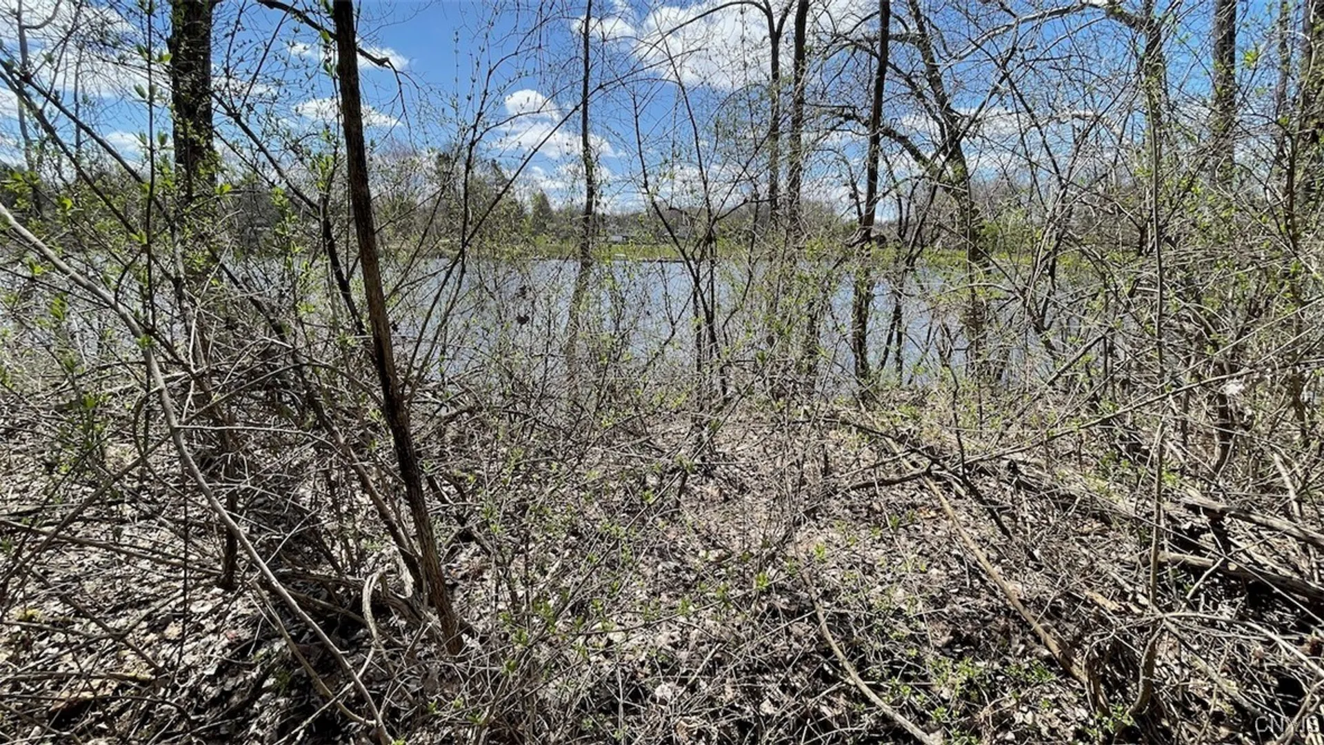 Property at 97 Oswego River Road, Schroeppel, NY 13135 15